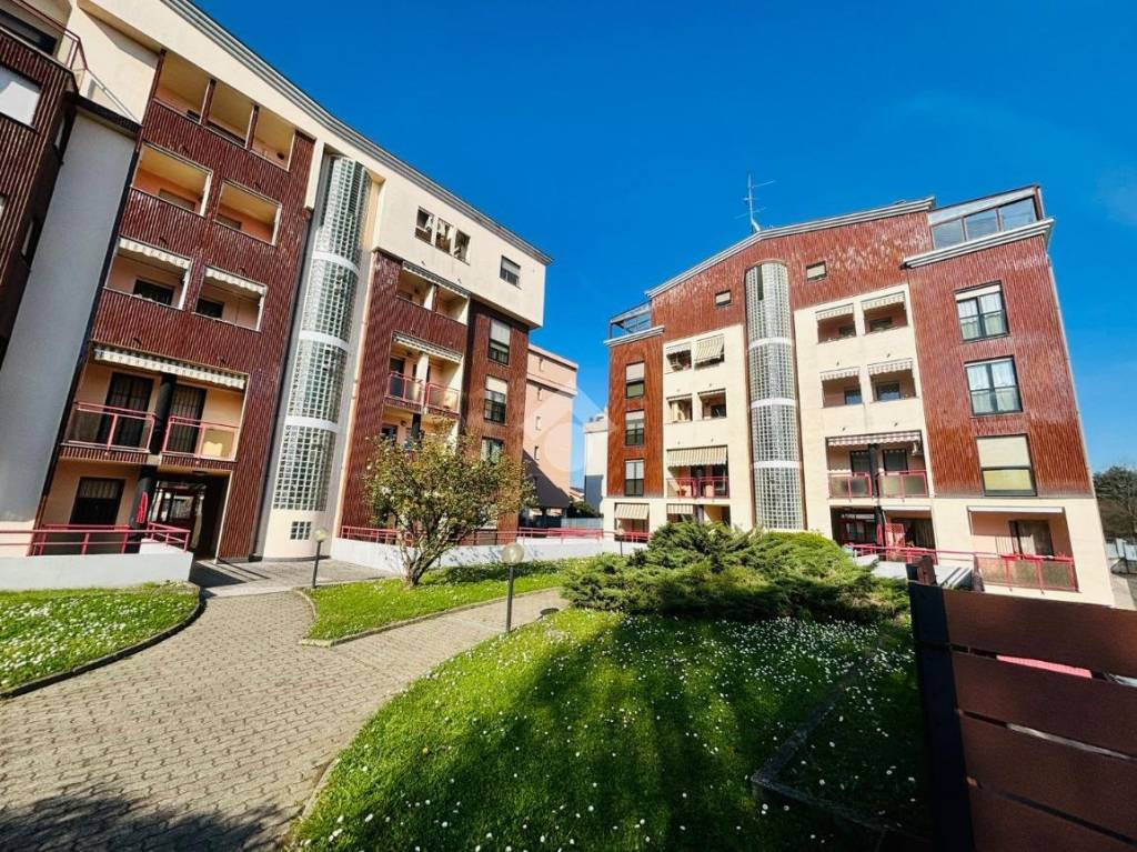 immagine annuncio 1 di 15