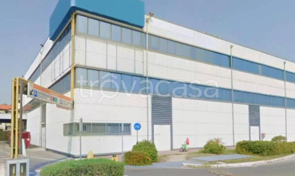 immagine annuncio 3 di 11