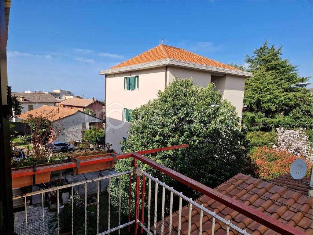 immagine annuncio 6 di 12