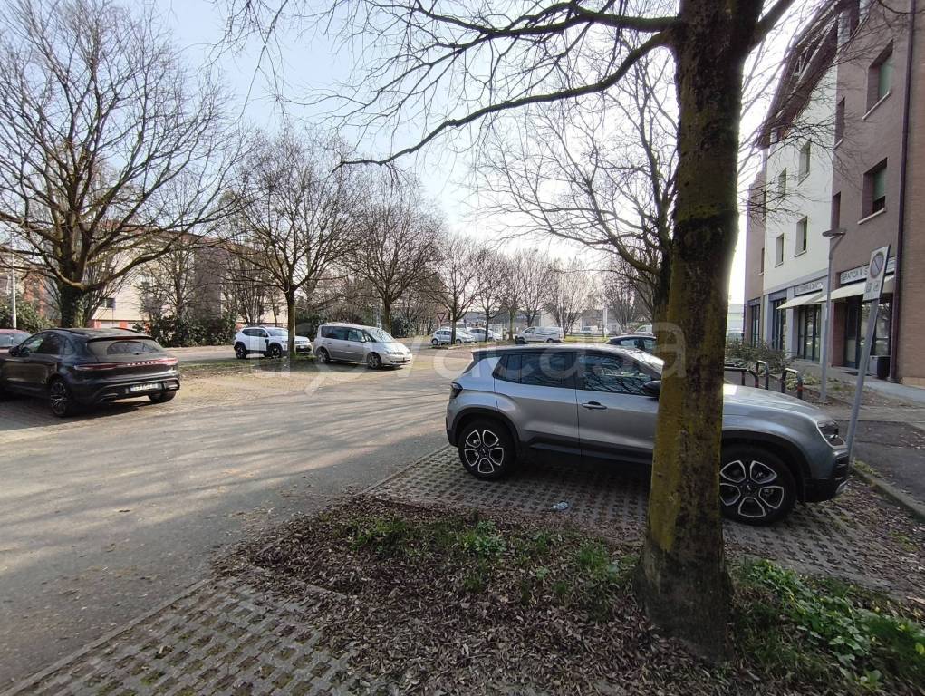 immagine annuncio 12 di 13