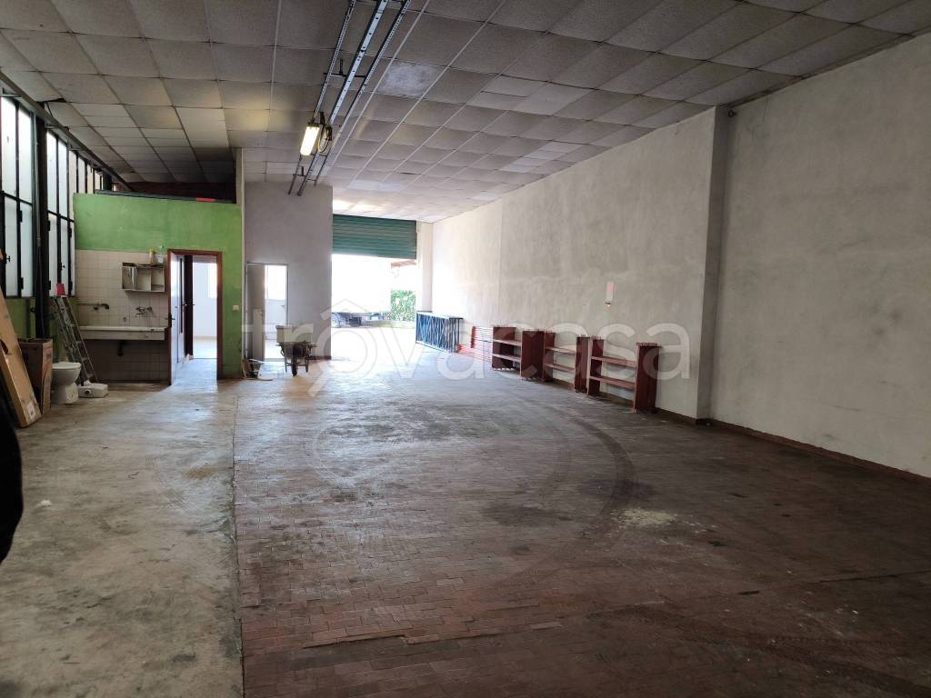 immagine annuncio 3 di 9