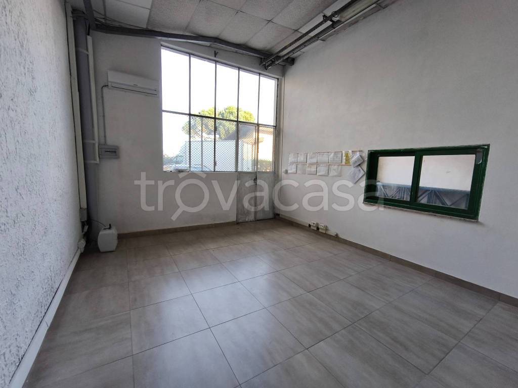 immagine annuncio 6 di 9