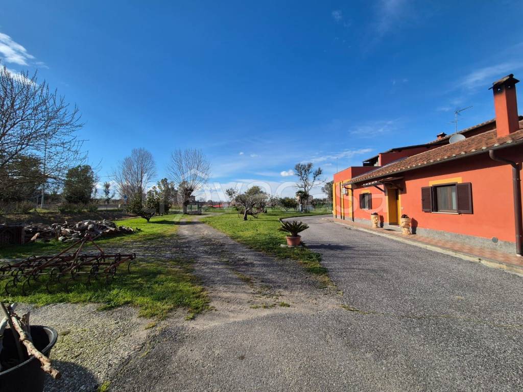 immagine annuncio 14 di 15