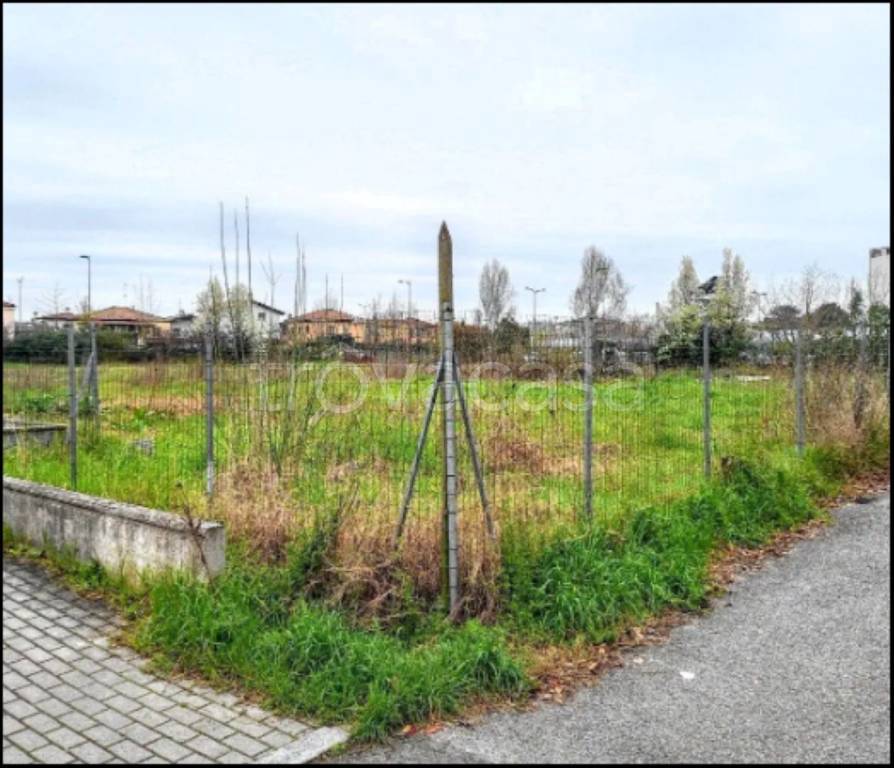 immagine annuncio 4 di 11