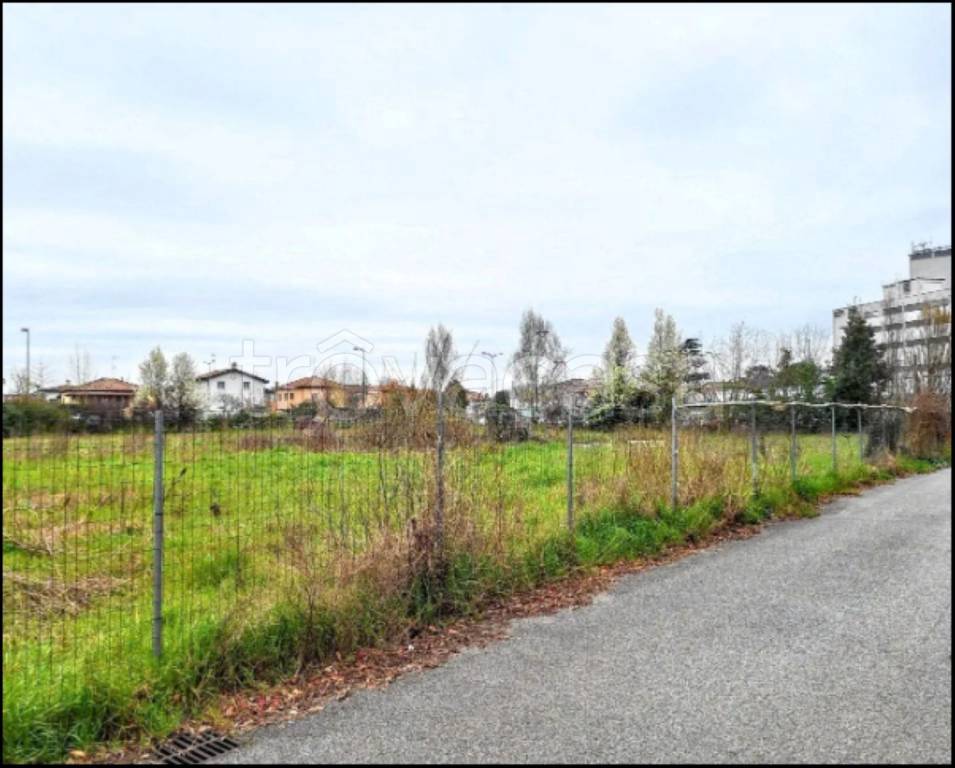 immagine annuncio 5 di 11