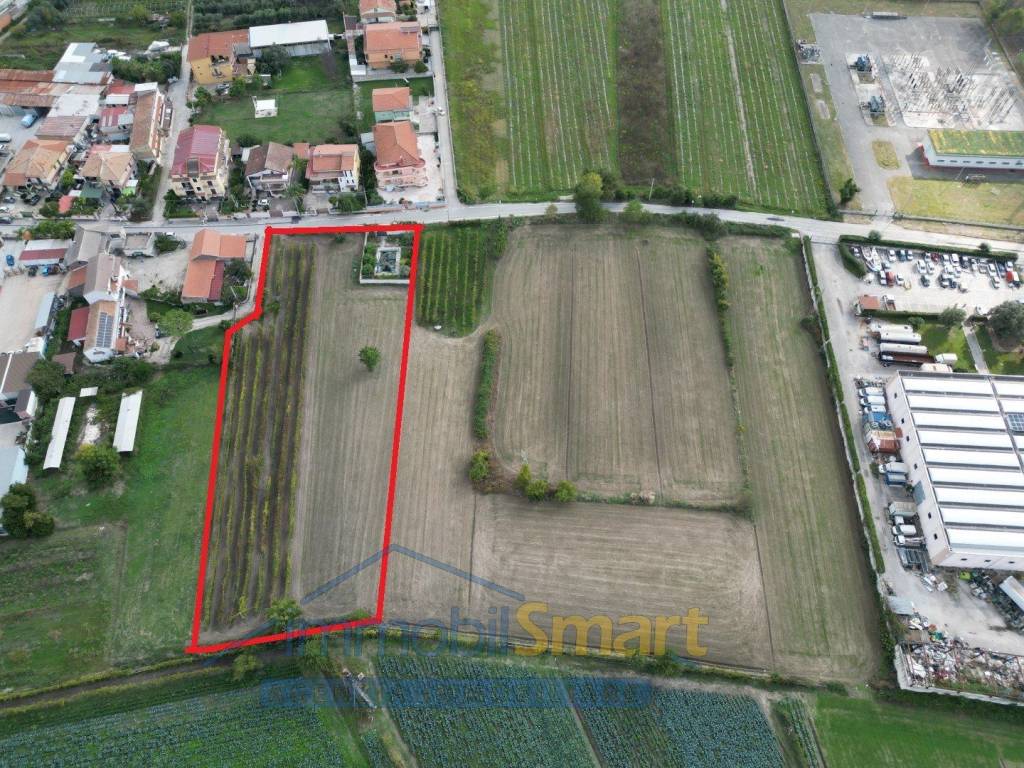 immagine annuncio 2 di 11