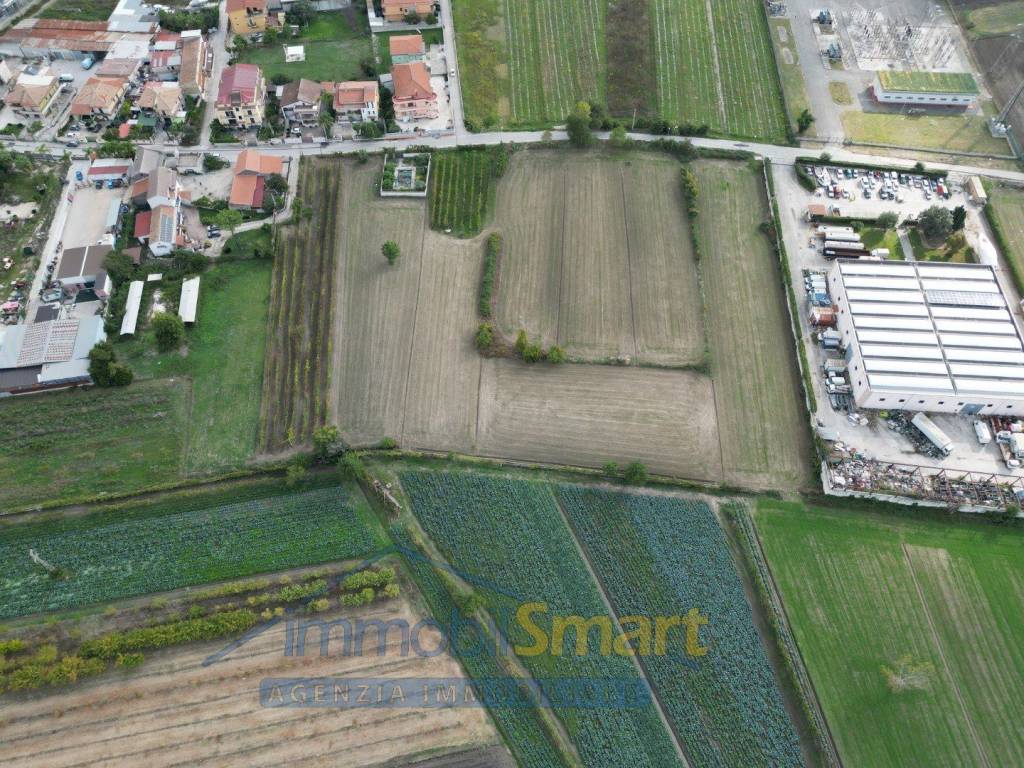 immagine annuncio 5 di 11