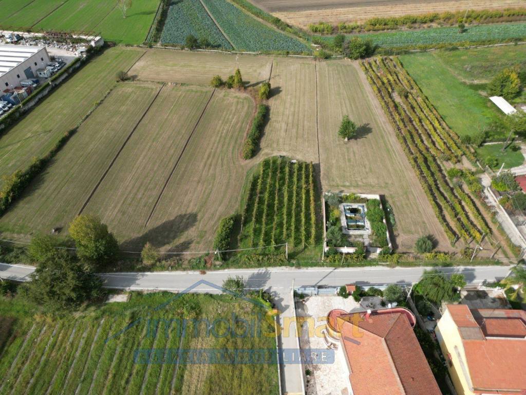 immagine annuncio 7 di 11