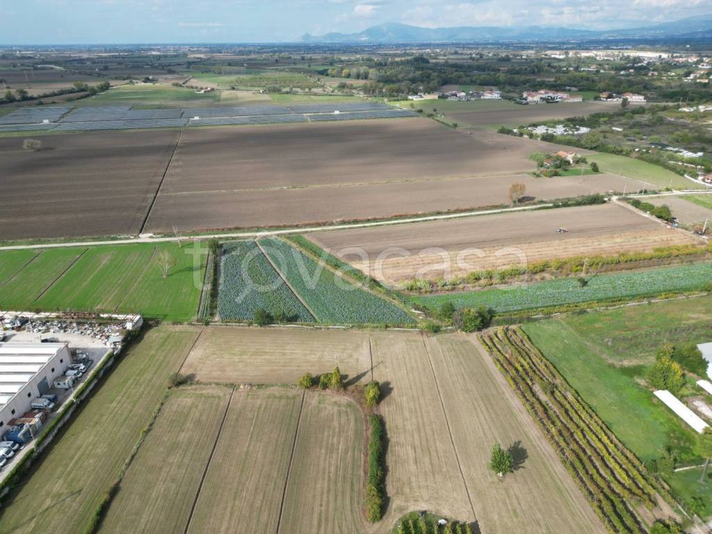 immagine annuncio 8 di 11