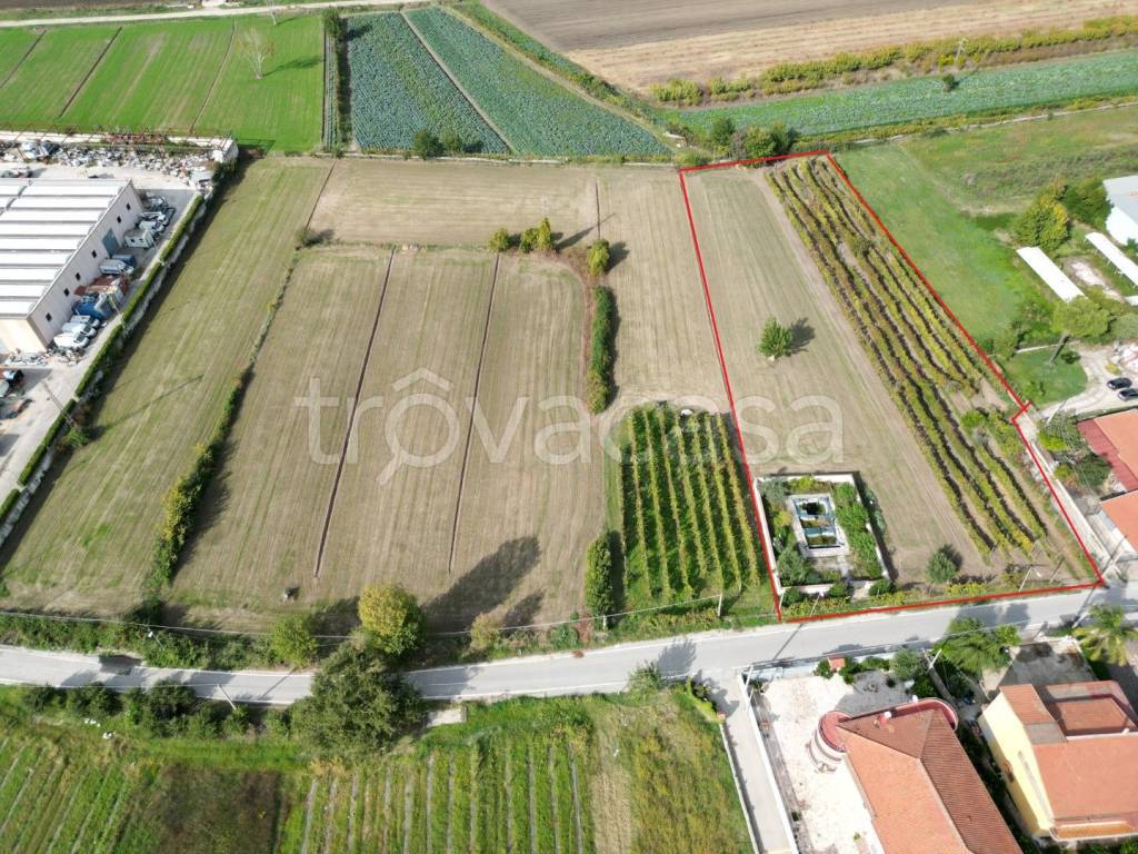 immagine annuncio 10 di 11