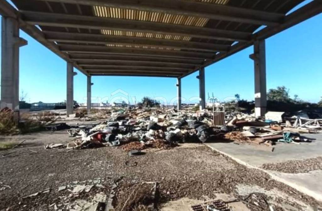 immagine annuncio 7 di 12