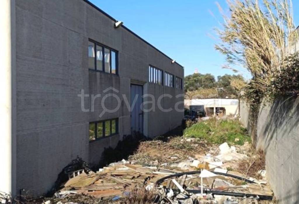 immagine annuncio 4 di 12