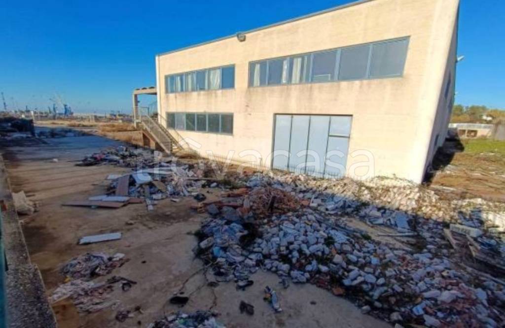 immagine annuncio 2 di 12