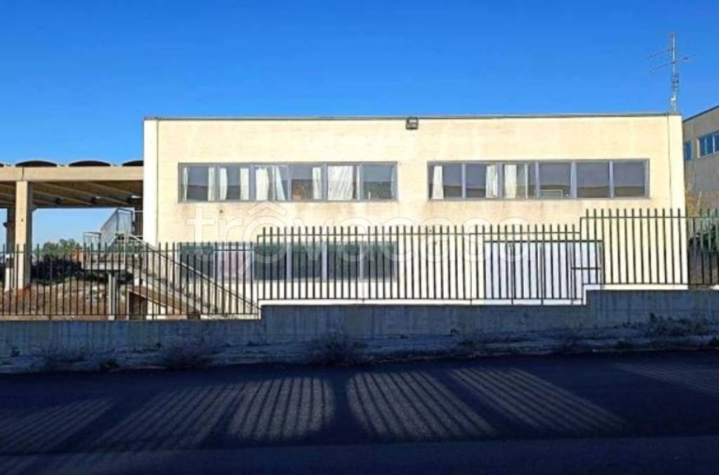 immagine annuncio 1 di 12