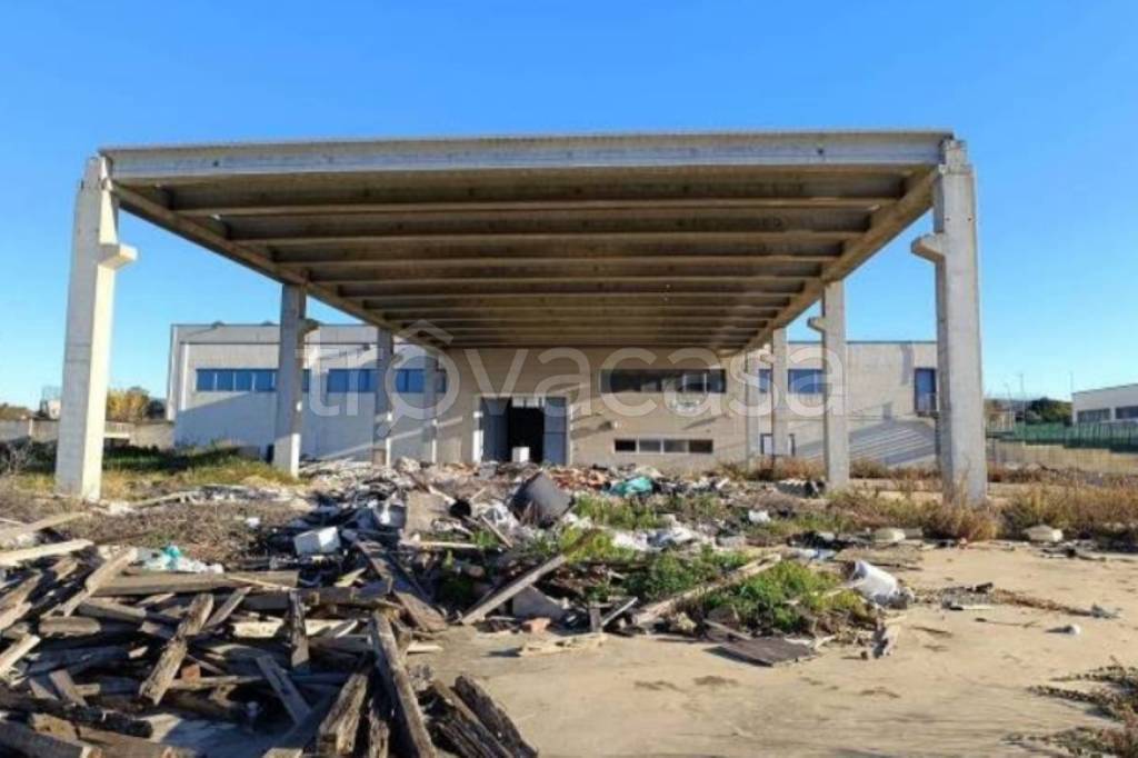 immagine annuncio 3 di 12