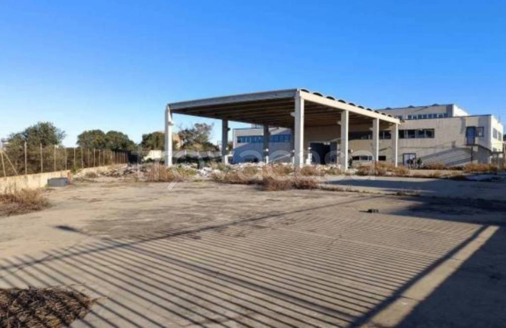 immagine annuncio 5 di 12