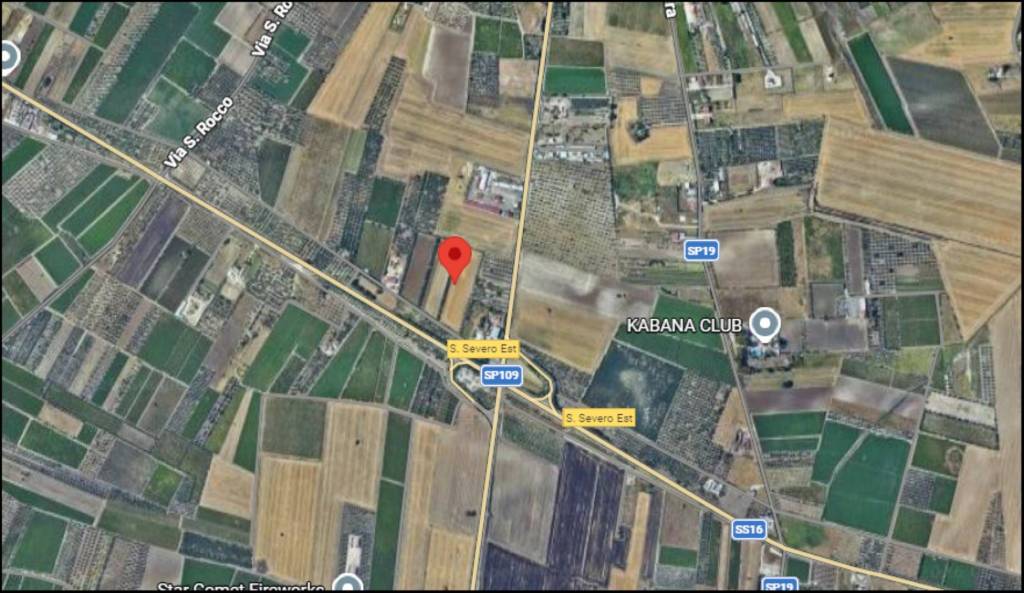 immagine annuncio 11 di 12