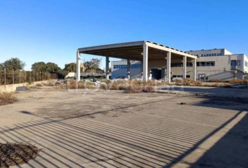 immagine annuncio 1 di 9