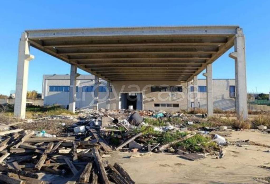 immagine annuncio 2 di 9