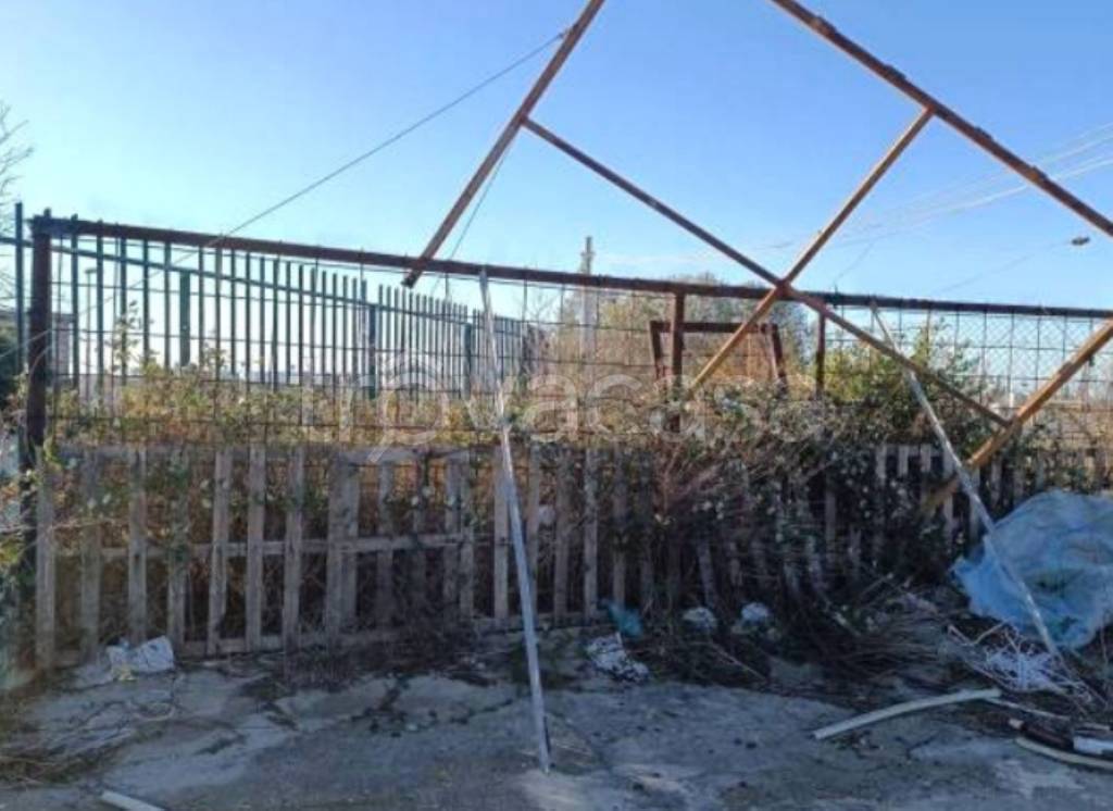 immagine annuncio 3 di 9