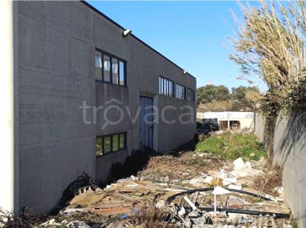 immagine annuncio 8 di 9