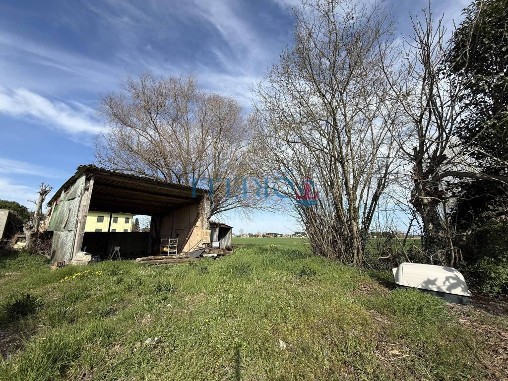 immagine annuncio 1 di 6