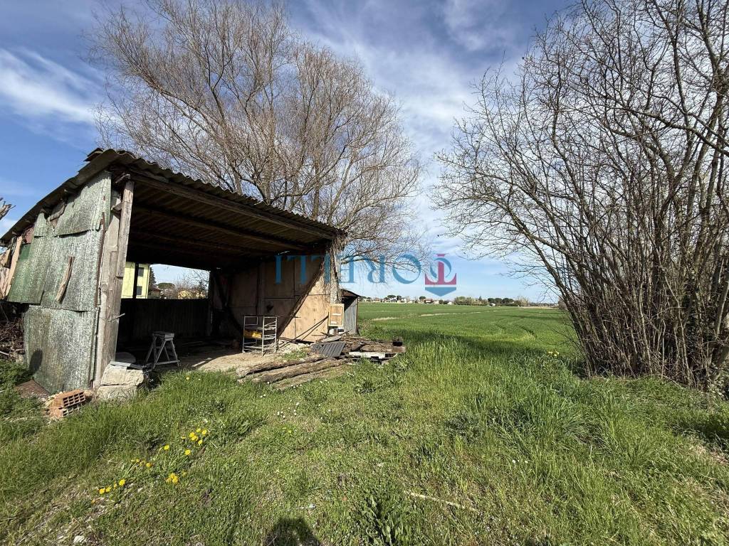 immagine annuncio 3 di 6