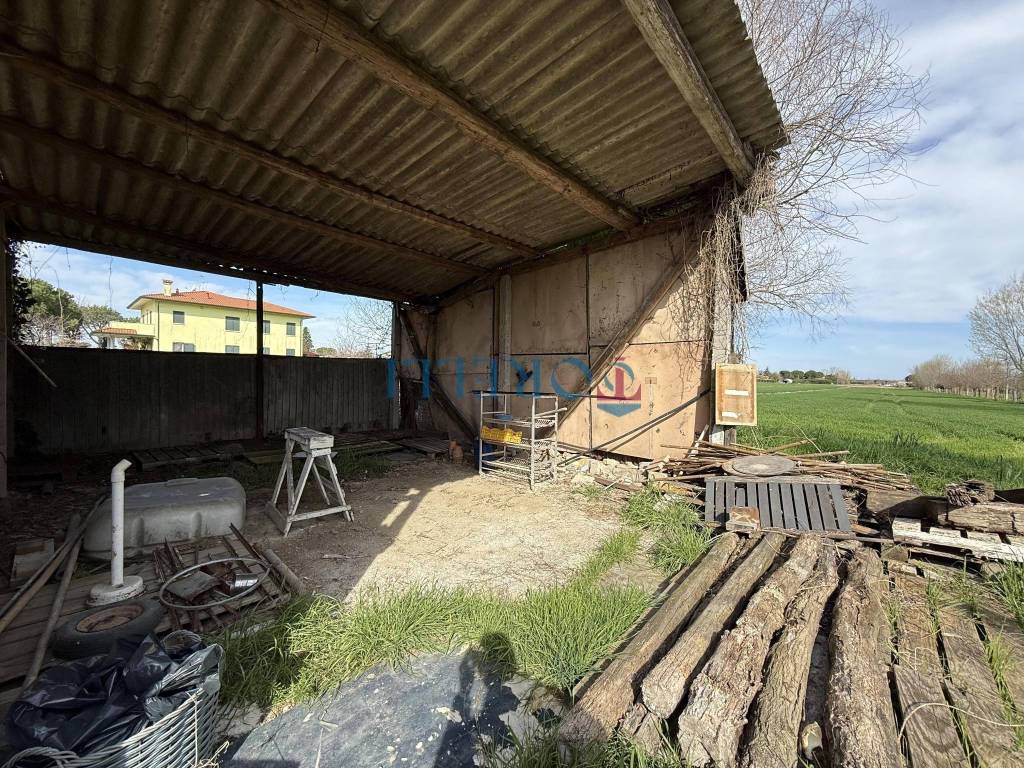 immagine annuncio 4 di 6