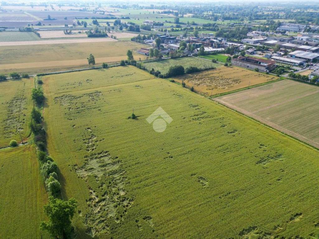 immagine annuncio 12 di 13