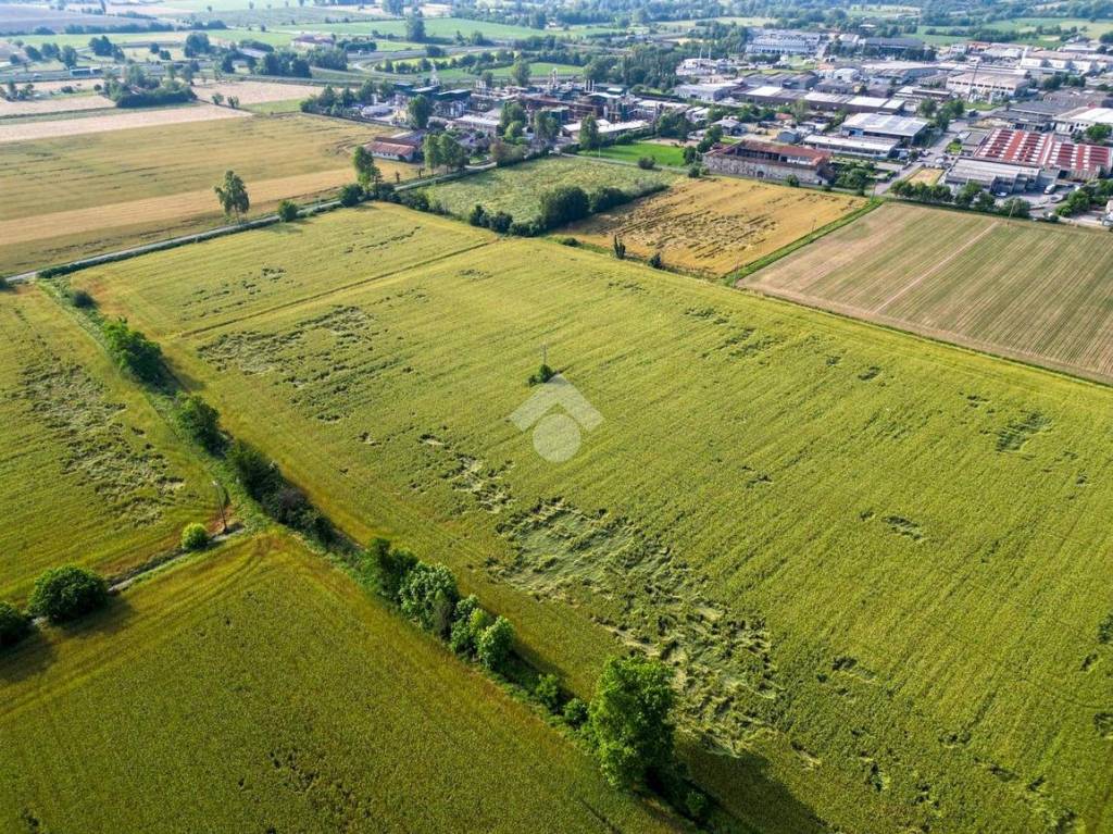 immagine annuncio 6 di 13