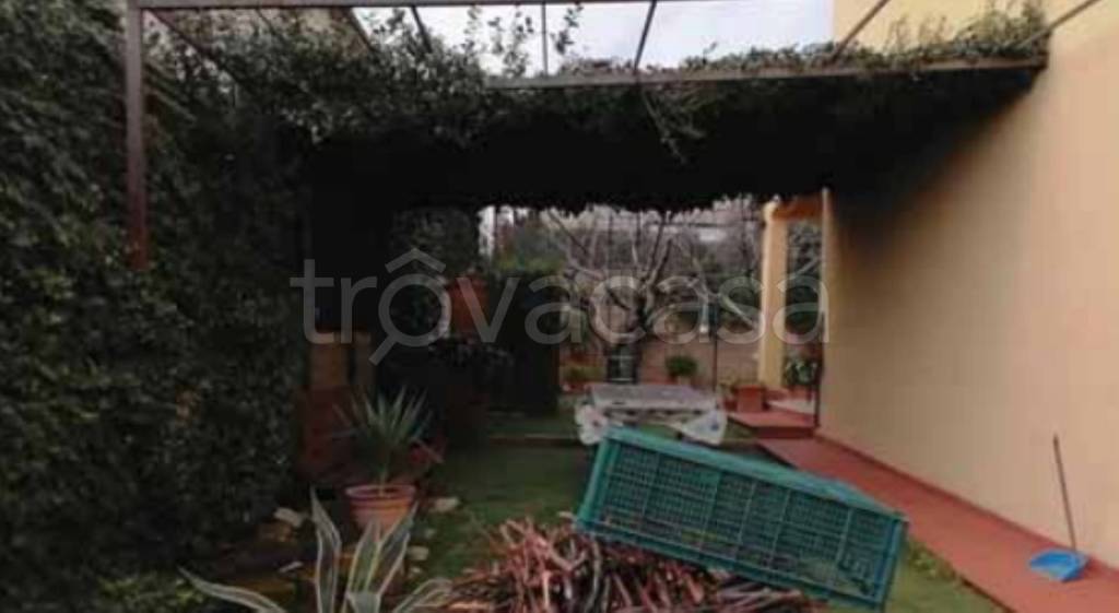 immagine annuncio 10 di 12