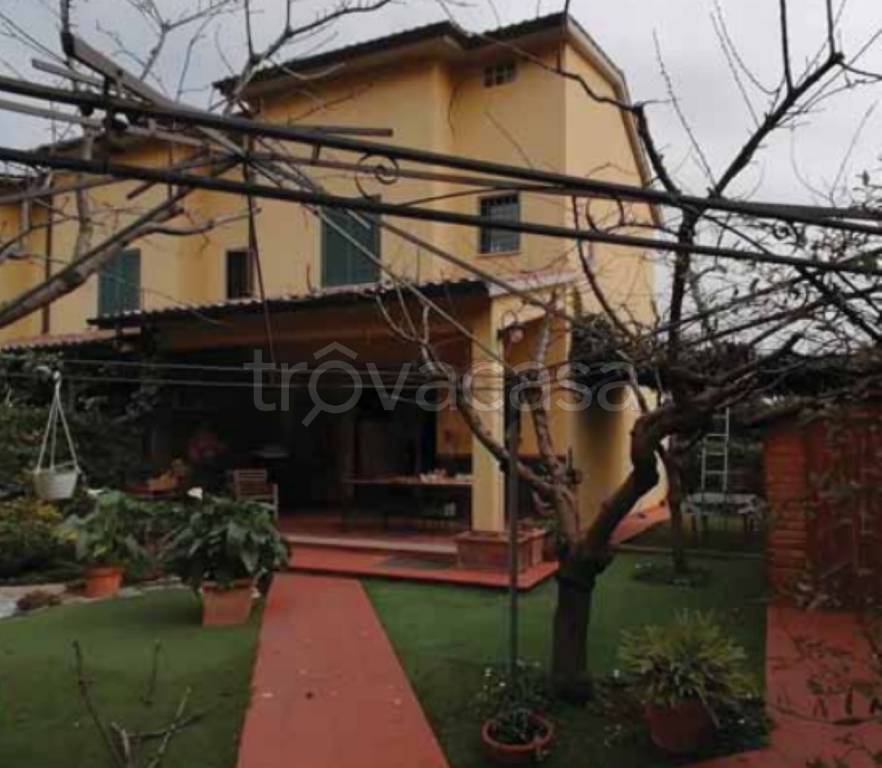 immagine annuncio 11 di 12