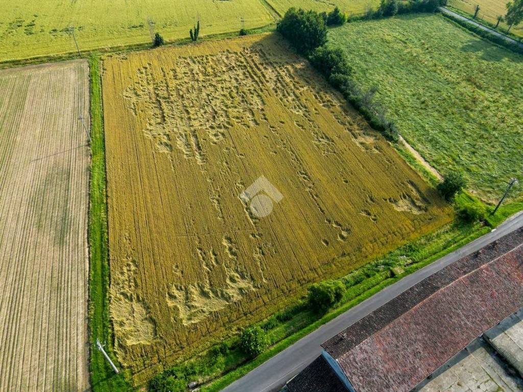 immagine annuncio 8 di 13