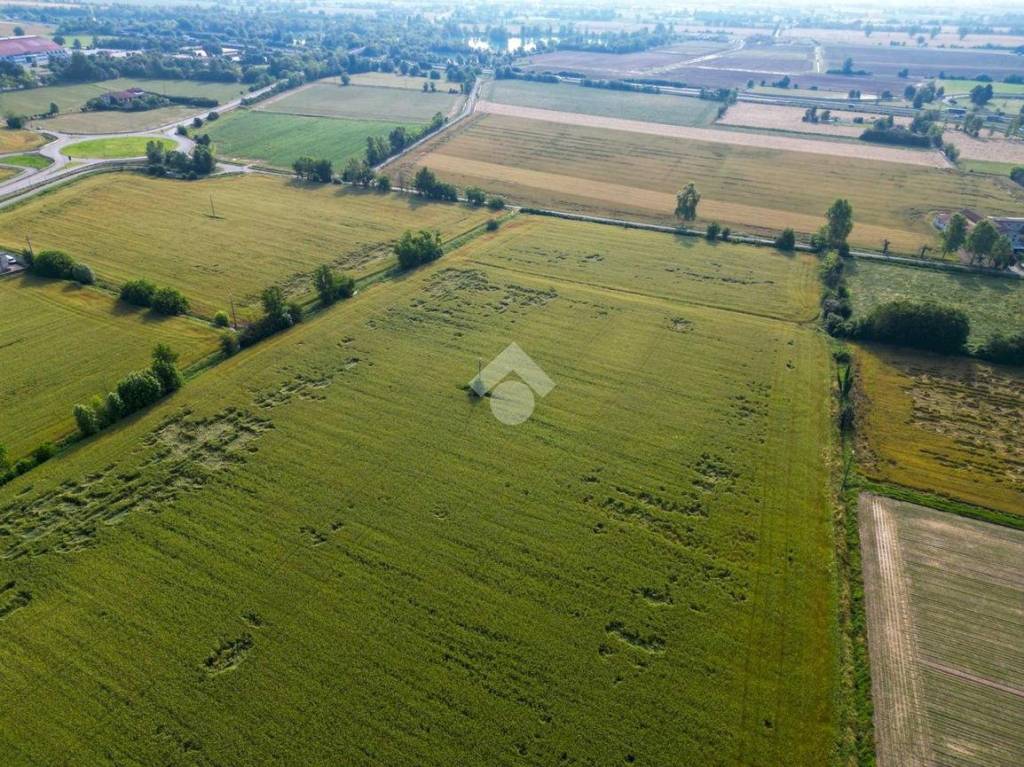 immagine annuncio 10 di 13