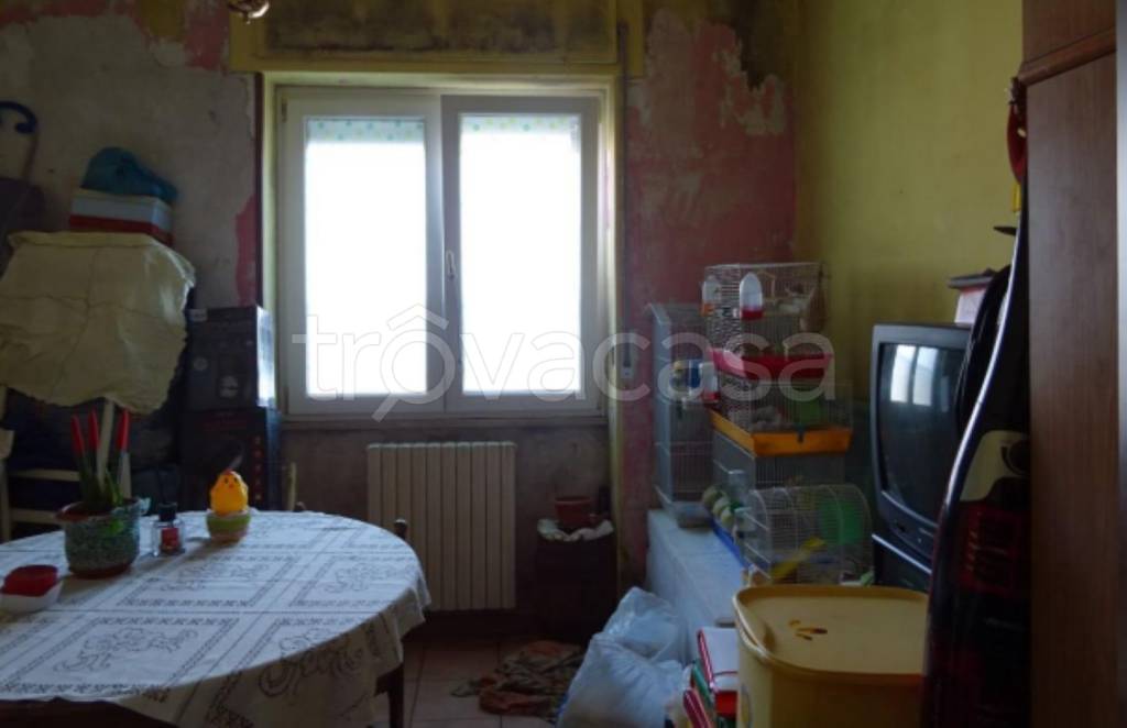 immagine annuncio 6 di 11