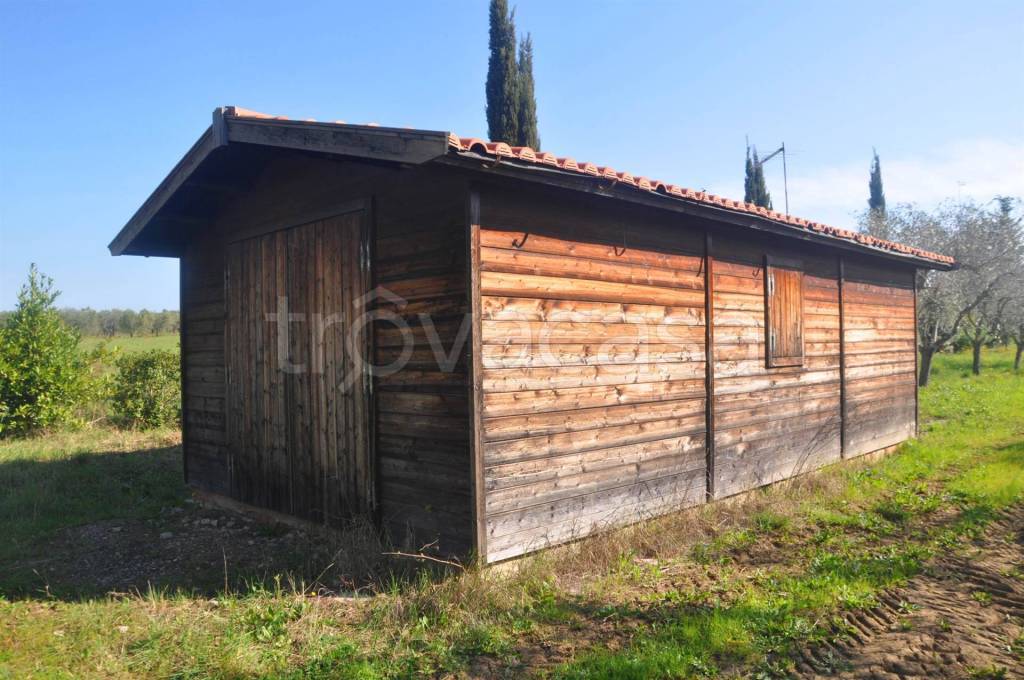 immagine annuncio 2 di 12