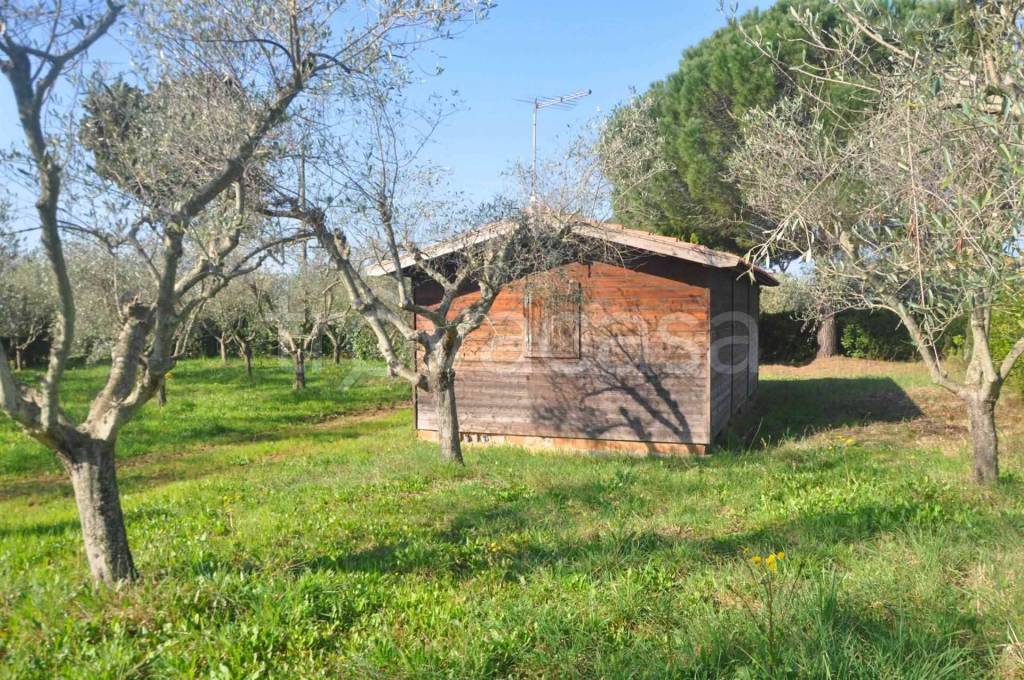 immagine annuncio 5 di 12