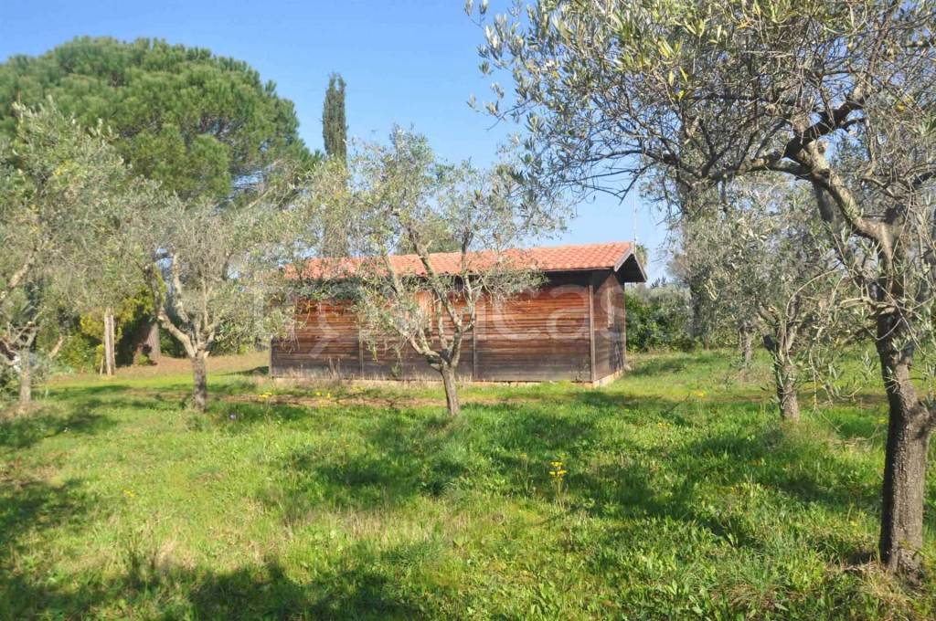 immagine annuncio 6 di 12