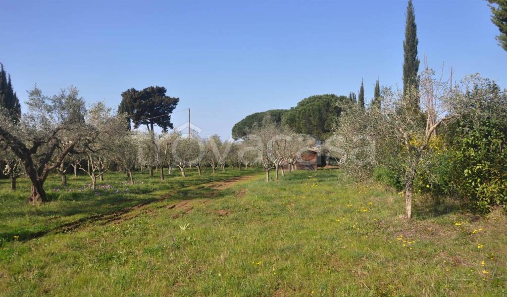 immagine annuncio 10 di 12