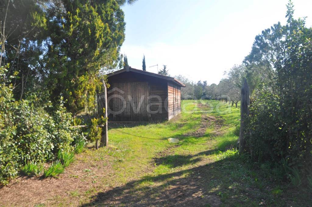 immagine annuncio 11 di 12