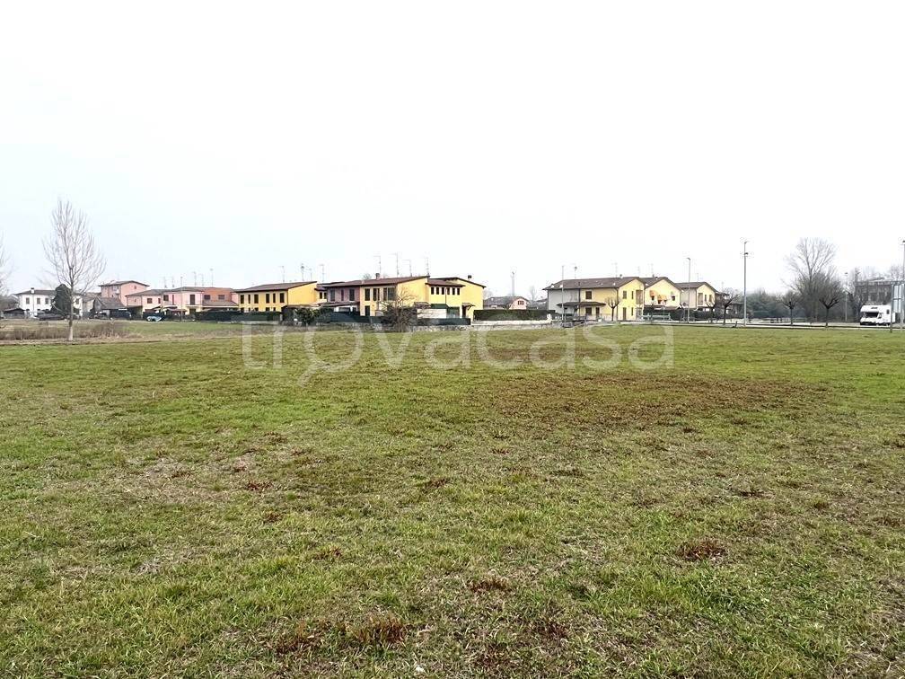 immagine annuncio 3 di 6