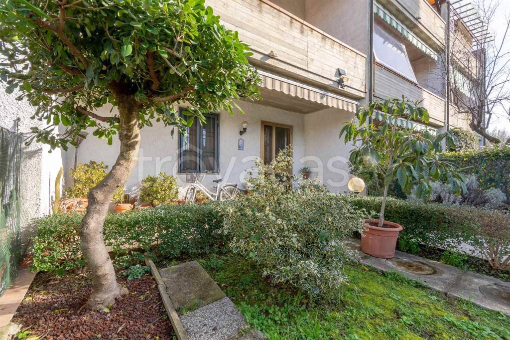 immagine annuncio 6 di 15