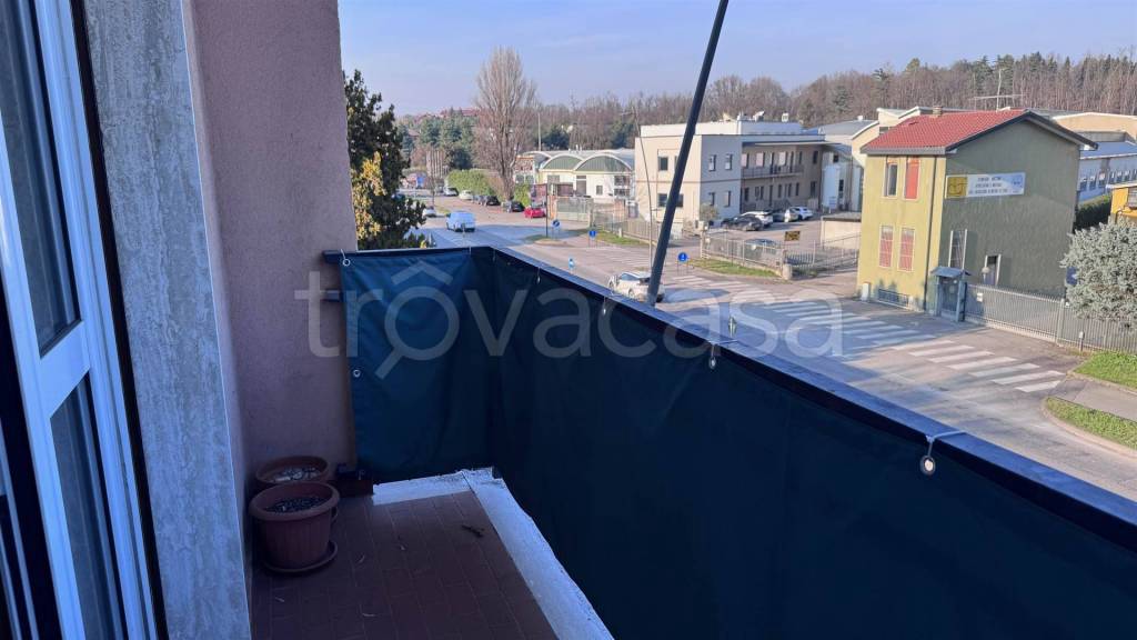 immagine annuncio 3 di 11