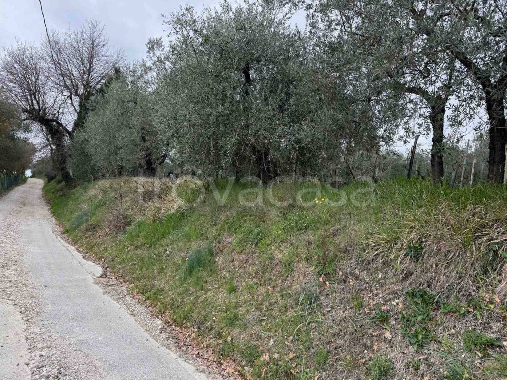 immagine annuncio 7 di 10