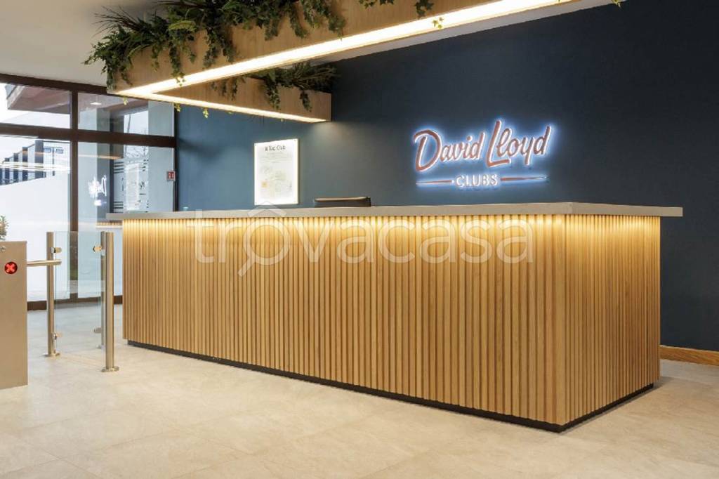 immagine annuncio 3 di 7