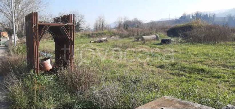 immagine annuncio 2 di 3