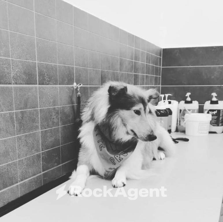 immagine annuncio 5 di 8