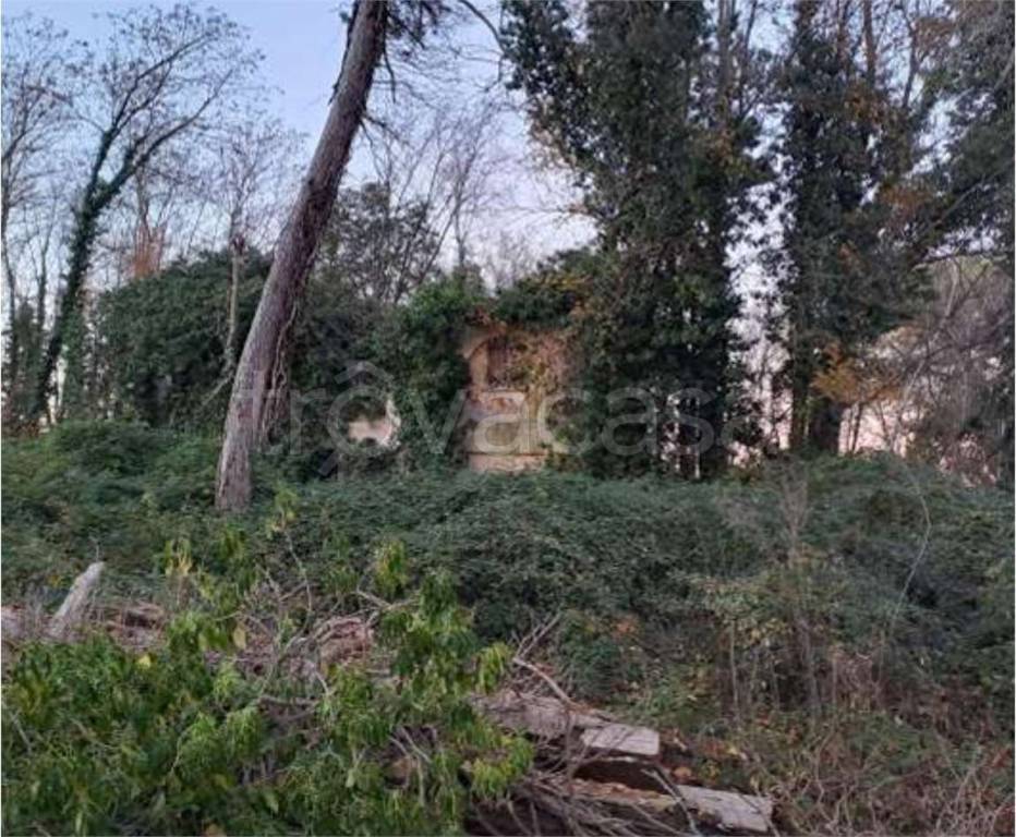 immagine annuncio 9 di 11