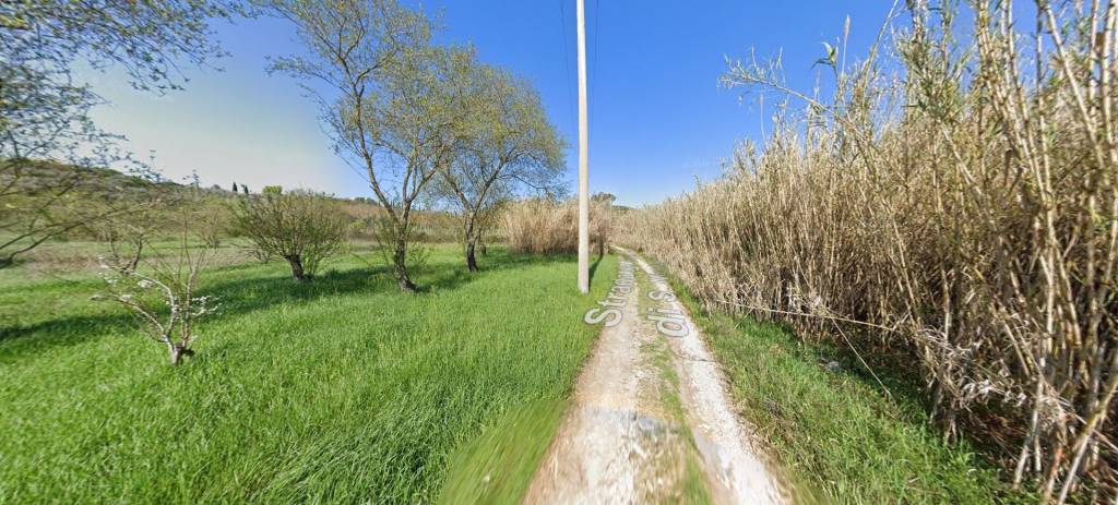 immagine annuncio 7 di 11