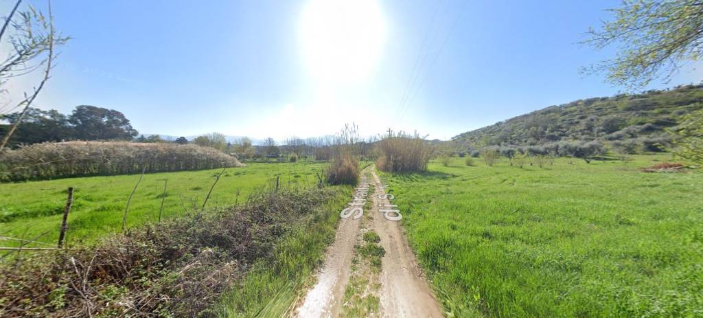 immagine annuncio 8 di 11